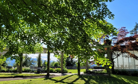 Sommer im Park der Villa Senar, Foto Rita Waltert 2024